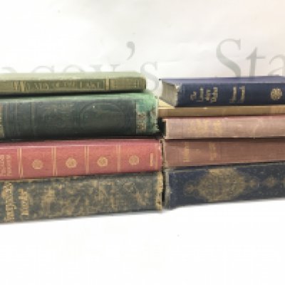 A Collection of 19th and early 20th century books including The Lancashire Witches By Harrison Ainsworth, The lady of the lake J. Lobban 1908, The Pilgrims Progress by John Bunyan 1904, Northanger Abbey Jane Austen, Villette By Charlotte Bronte, the poetical works of John Milton 1862 . Postage category B