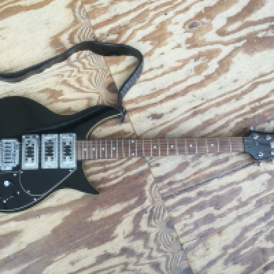 An Alden electric guitar. Comes with a soft carry case.