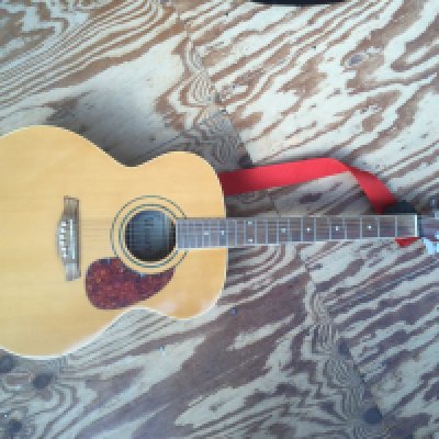 A Wesley JG-620N jumbo acoustic guitar. No case.