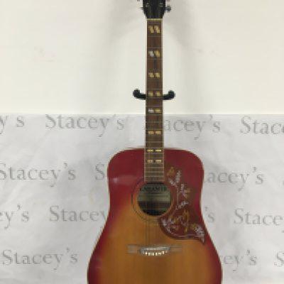 A Laramie Rosetti acoustic guitar with stand. No case.