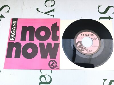A rare first US pressing of the Pagans 7" single Not Now, No Way. EX/EX.