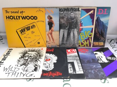 Ten punk rock LPs by various artists including Screeching Weasel, Hard Ons, Wreckless Eric and others.