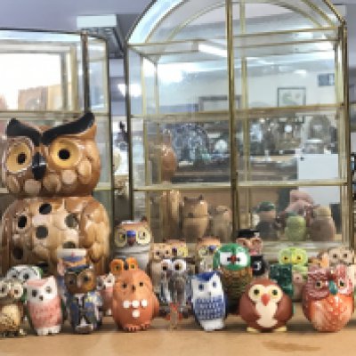 A Collection of owl figures and two display cases, this lot cannot be posted
