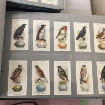 A collection of Vintage cigarette cards. Well presented in five albums Sunripe & Spinet Oval Moorgate and numerous other sets Rover Worlds Best Cigarettes Ogdens and others.