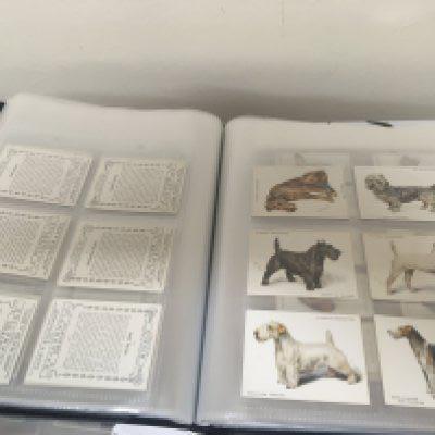 Three Well presented full albums containing vintage cigarette cards and other collectors cards including large size Players Racing Yachts Tom Thumb British Railways Soldiers of the World Classic Sports cars Rothmans Landmarks in Empire History. Large and small sets of Players dogs and many other sets. (3)