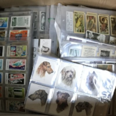 A box containing an extensive collection of Vintage Cigarette cards and trade collect